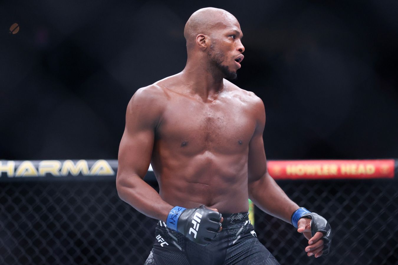Дереккөз: Майкл Пейдж - Джаред Каннонье арасындағы жекпе-жек UFC 319 турнирінде орын алады | BASSPORT Дереккөз: Майкл Пейдж - Джаред Каннонье арасындағы жекпе-жек UFC 319 турнирінде орын алады