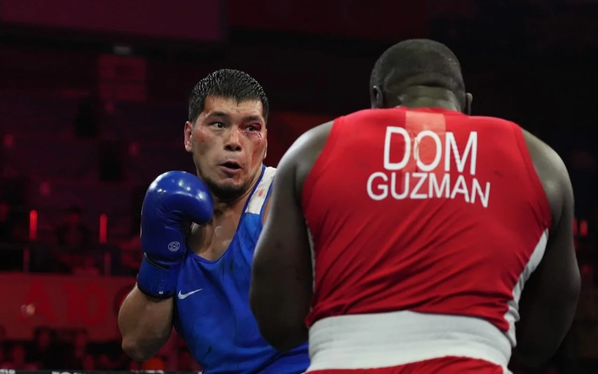 World Boxing Cup: Төртінші күннің қорытындылары