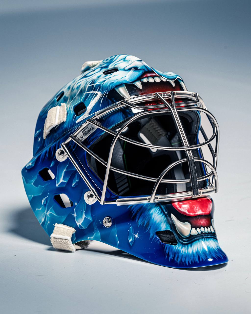 Ұлттық құрама қақпашысы жаңа дулығасын көрсетті (ФОТО)