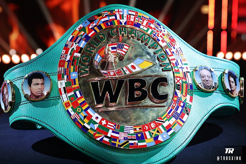 Қазақстандық боксшылар WBC рейтингіндегі орындарын білді